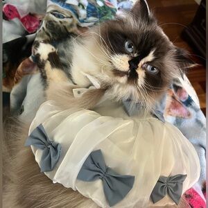 If you like something make an offer